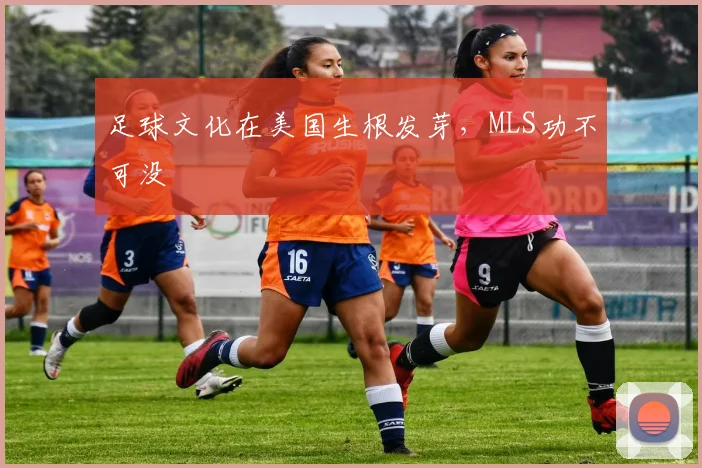 足球文化在美国生根发芽，MLS功不可没
