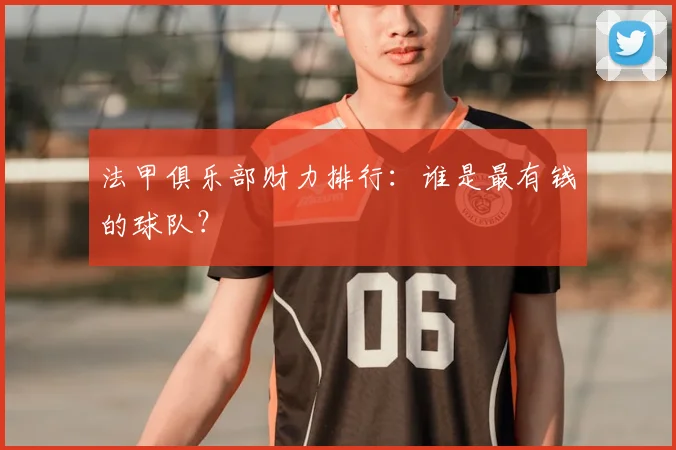 法甲俱乐部财力排行：谁是最有钱的球队？
